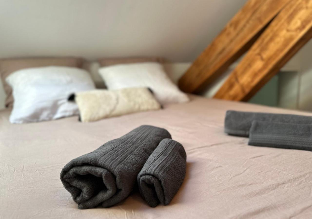 Duplex Loft - Central & Home Cinema آنسي المظهر الخارجي الصورة