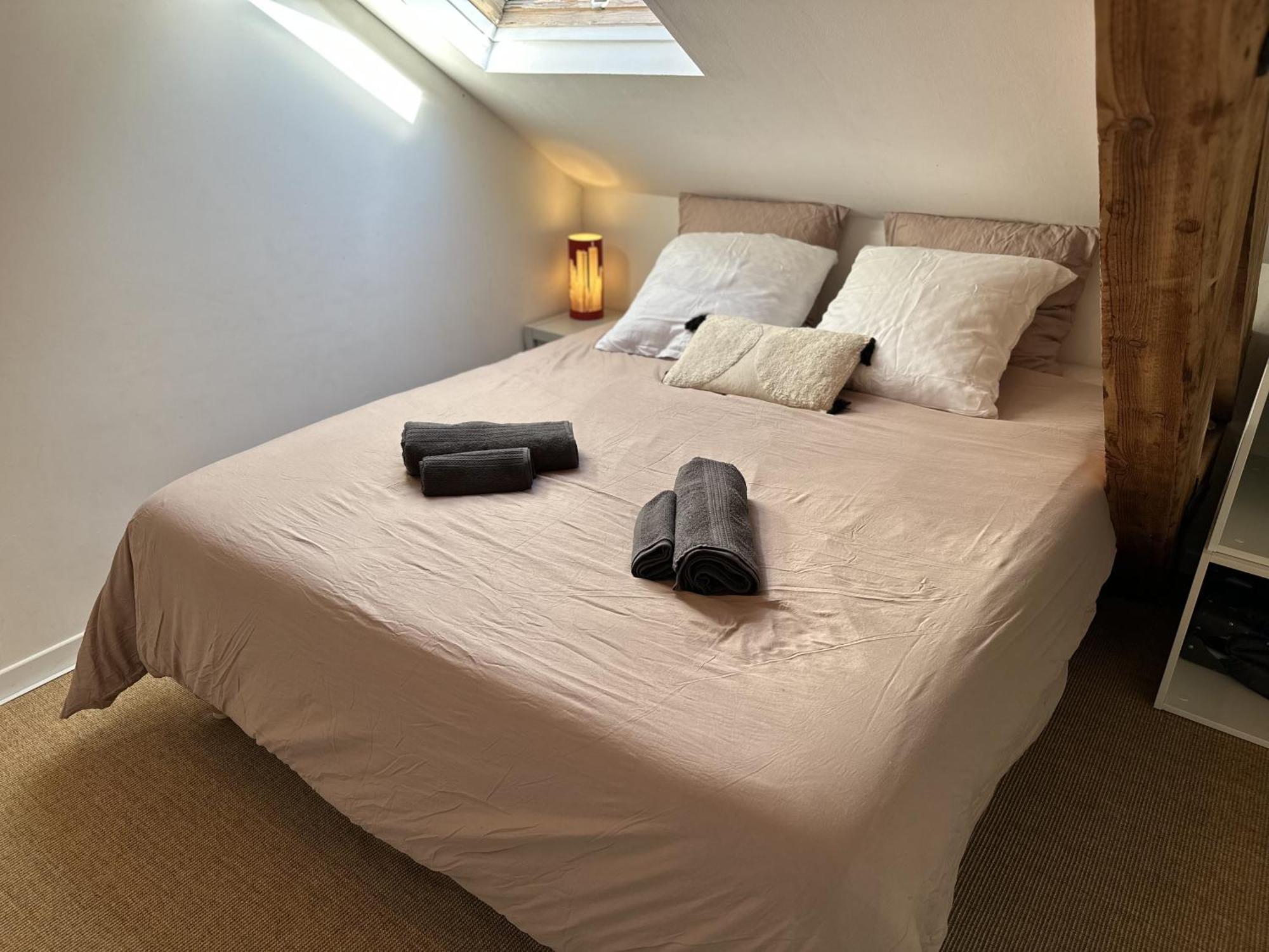Duplex Loft - Central & Home Cinema آنسي المظهر الخارجي الصورة